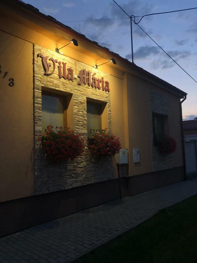 Vila Maria Rapovce Экстерьер фото